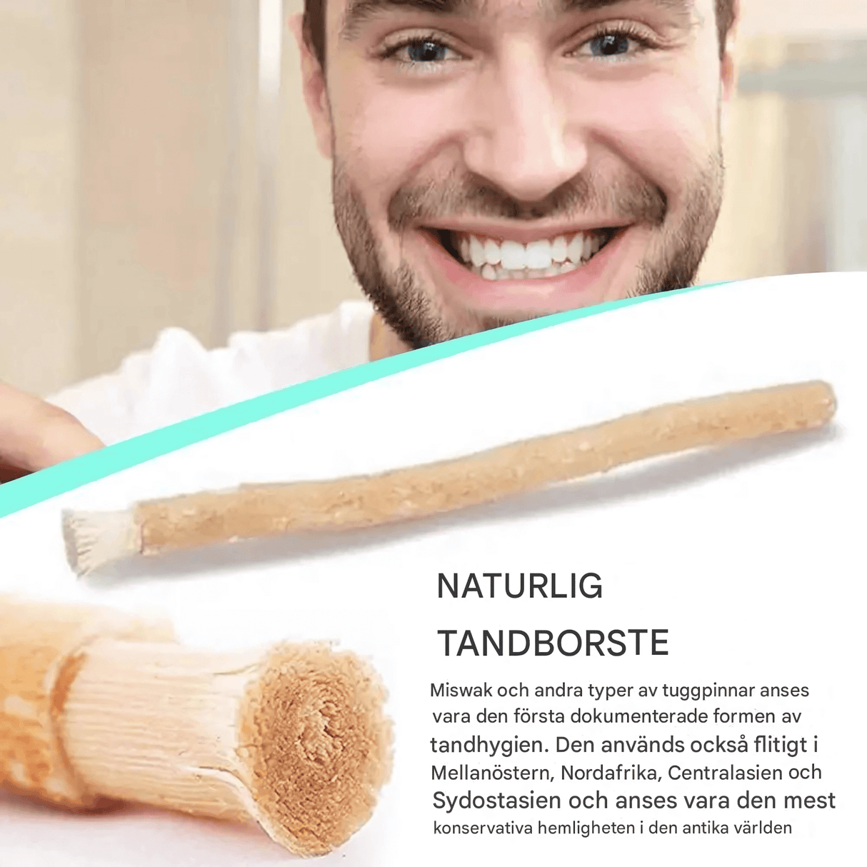 HerbaBrush – Naturlig Tandborste av Miswak för Traditionell Munvård och Resa