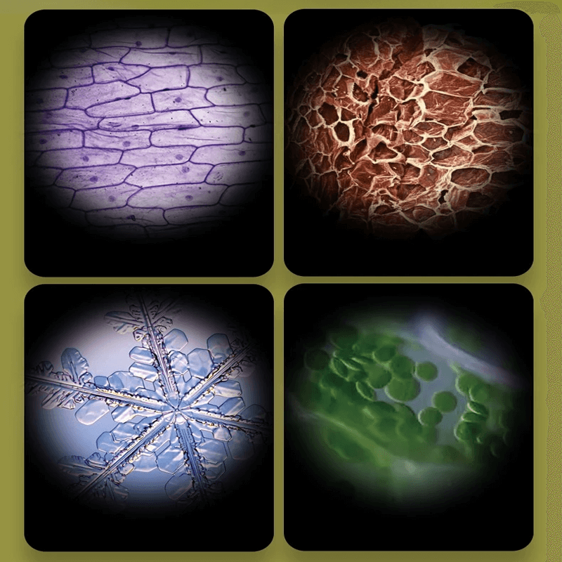 Portabel Barnmikroskop Leksak – Förstoring 60X-120X med LED