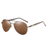 Lunettes de soleil polarisées Pilot